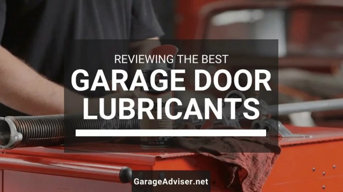 Best grease for garage door