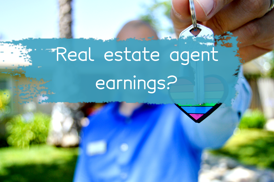 How much real estate agent earn in india